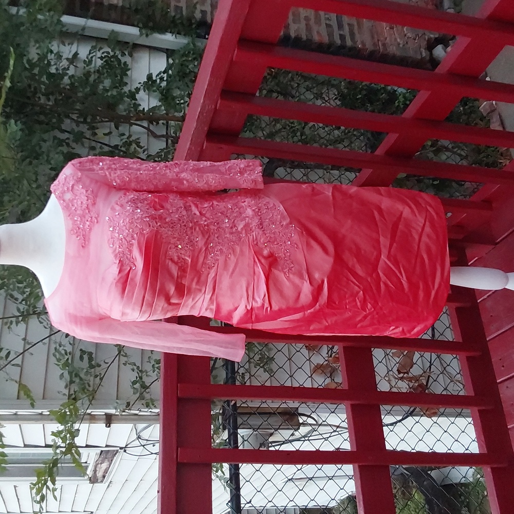 Stunning Pink Embellished Dress